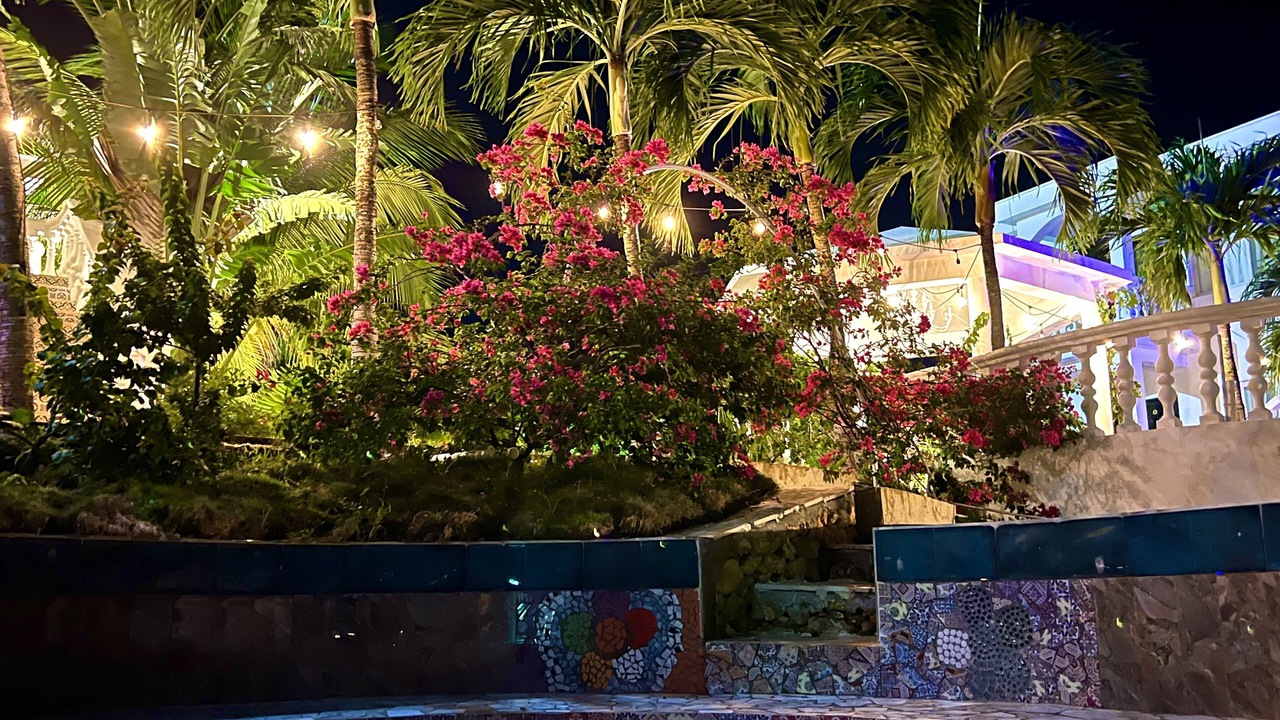 Photo of Outdoor in Cabrera