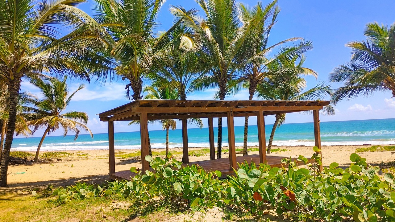 Photo of Others in Cabarete