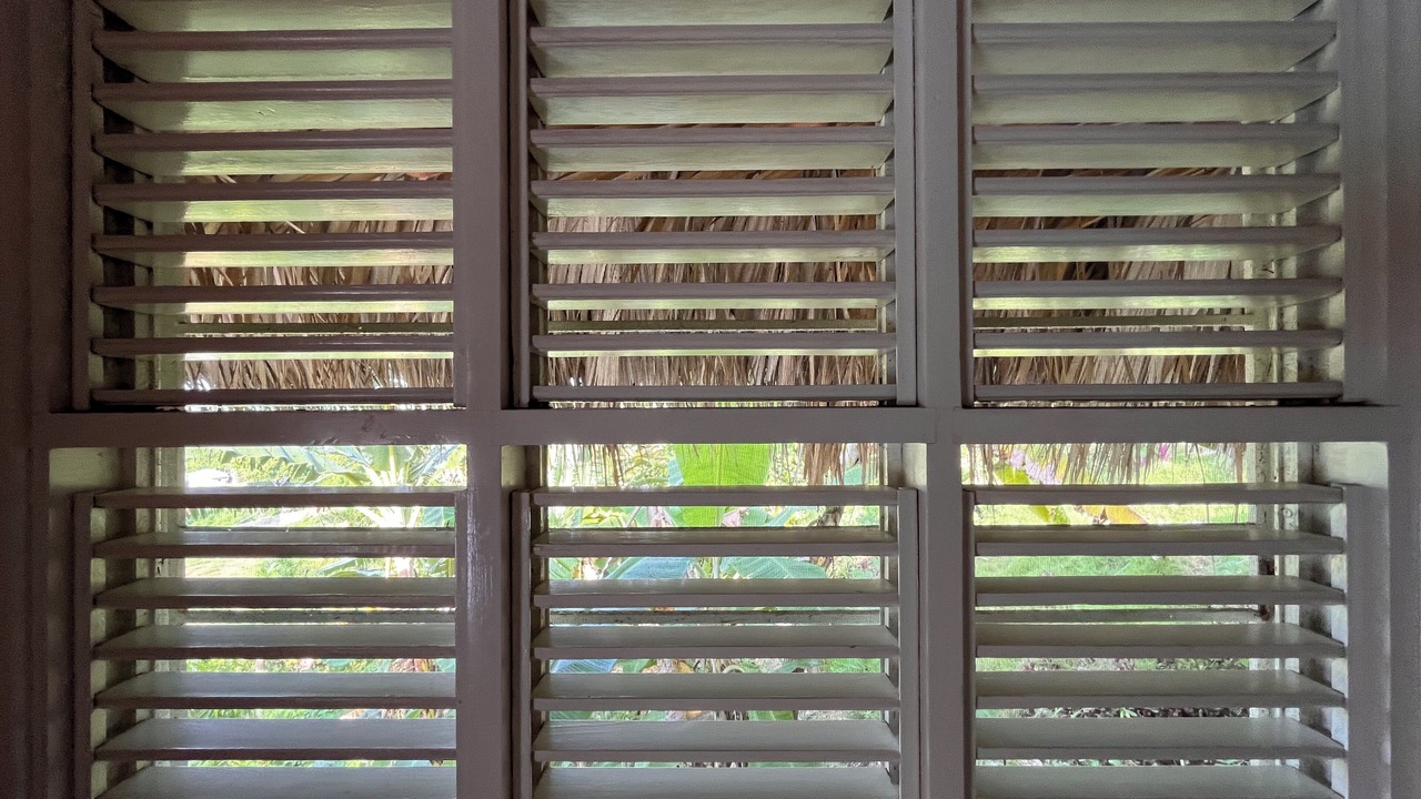 Photo of Others in Las Terrenas