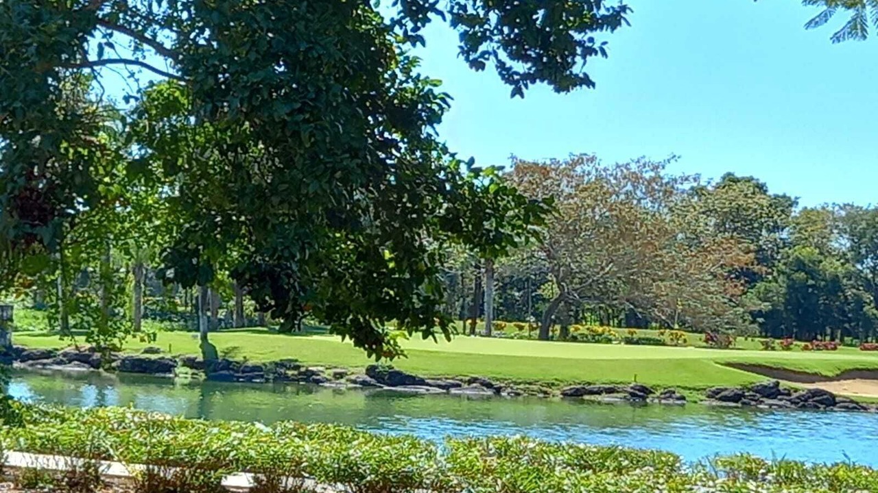 Photo of Others in Guayacanes