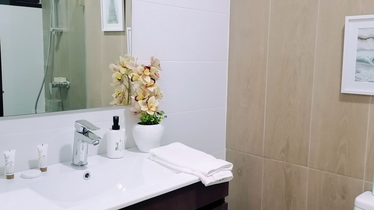 Photo of Bathroom in Santiago Province