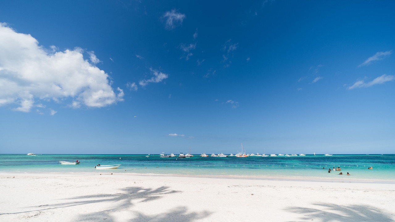 Photo of Others in Bavaro