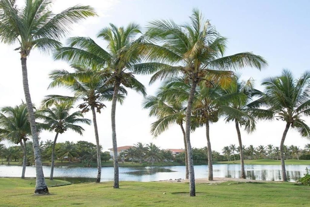 Photo of Others in Bavaro