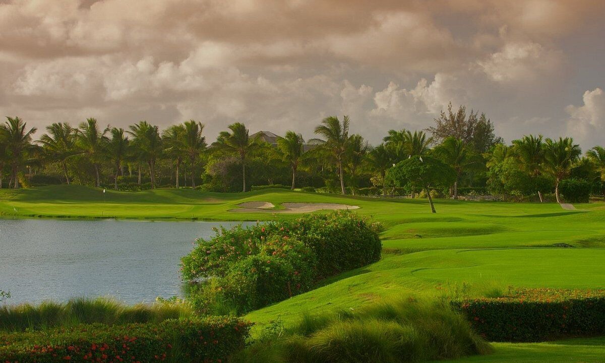 Photo of Others in Bavaro