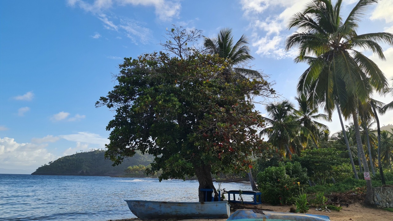 Photo of Others in Samana