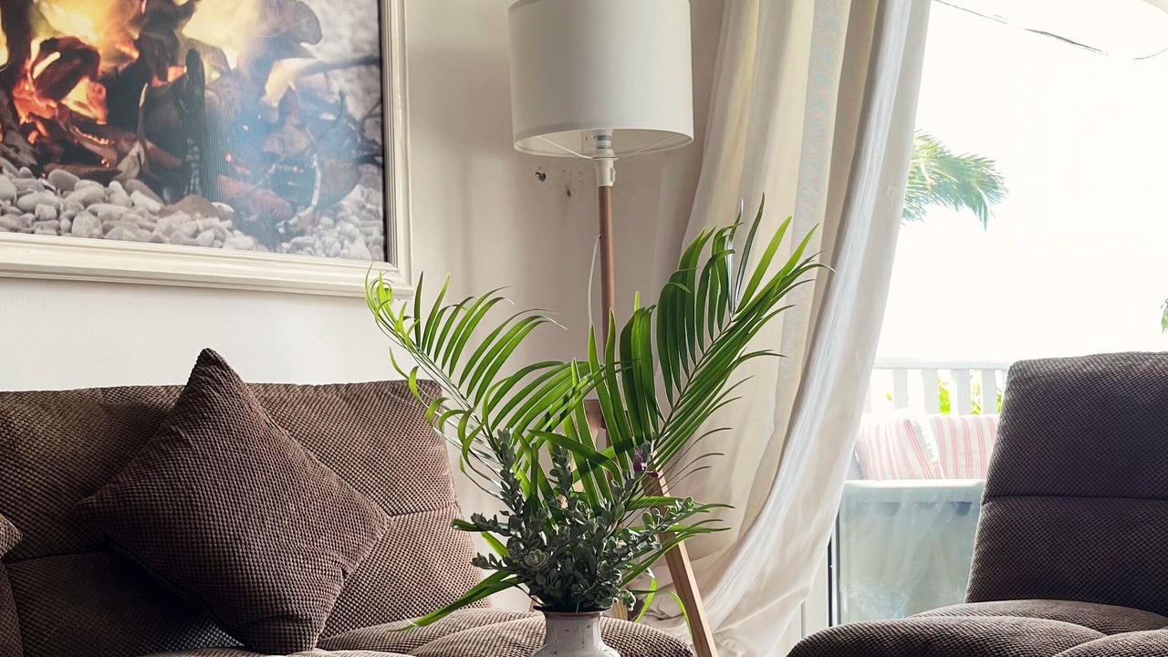 Photo of Livingroom in Centro