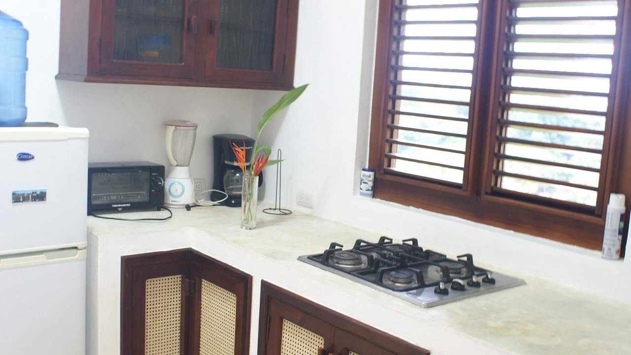 Photo of Kitchen in Samana