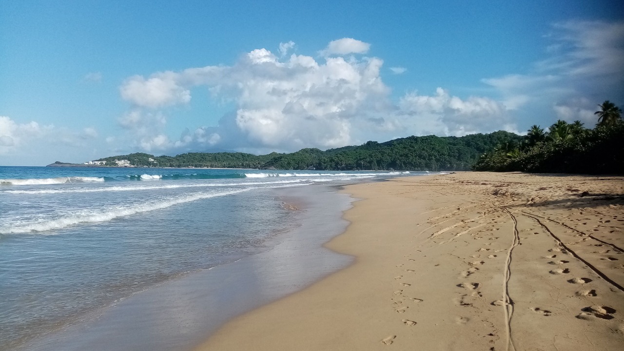 Photo of Others in Samana