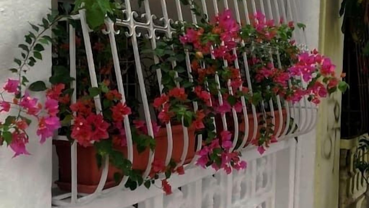 Photo of Outdoor in San Anton