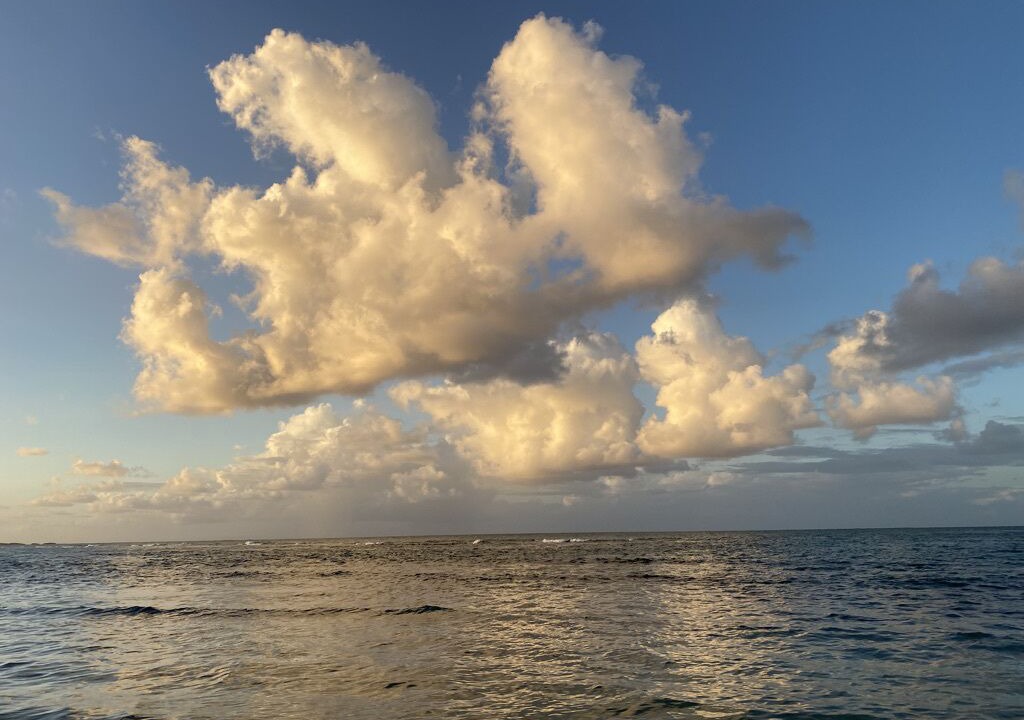 Photo of Others in Puerto Bahia