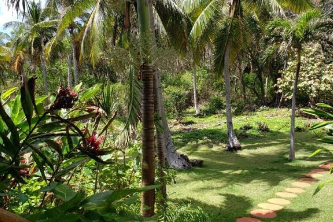 Photo of Outdoor in Samana