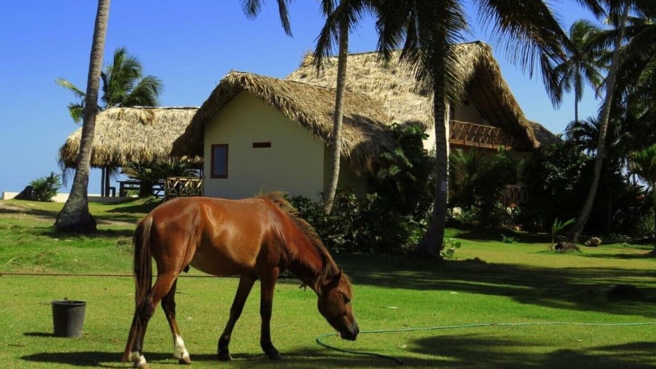Photo of Outdoor in Samana