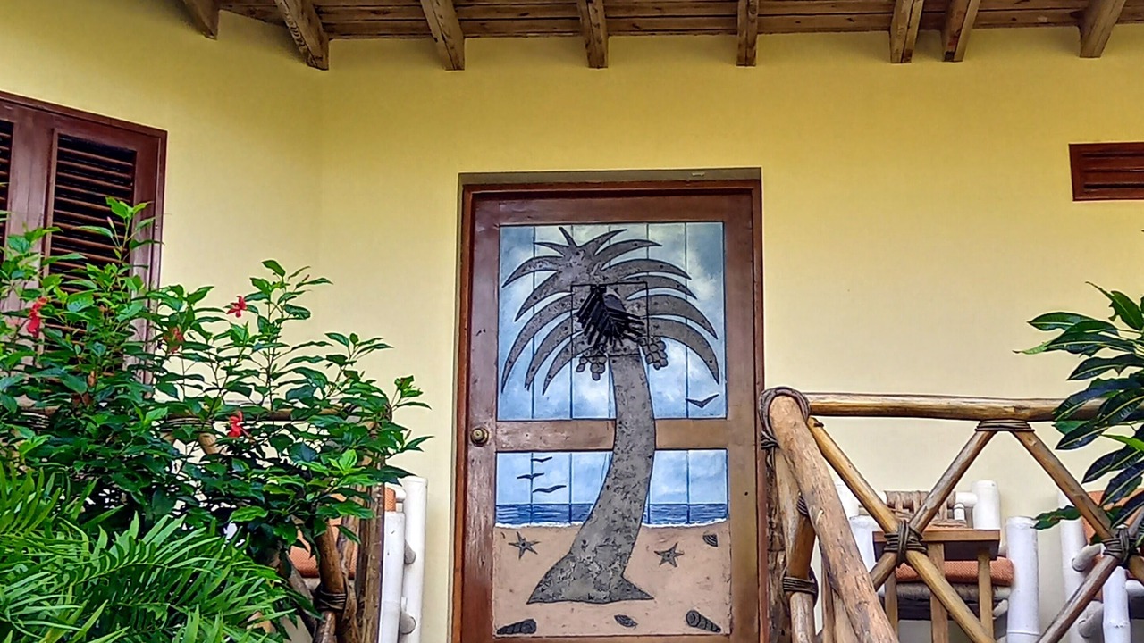 Photo of Outdoor in Samana