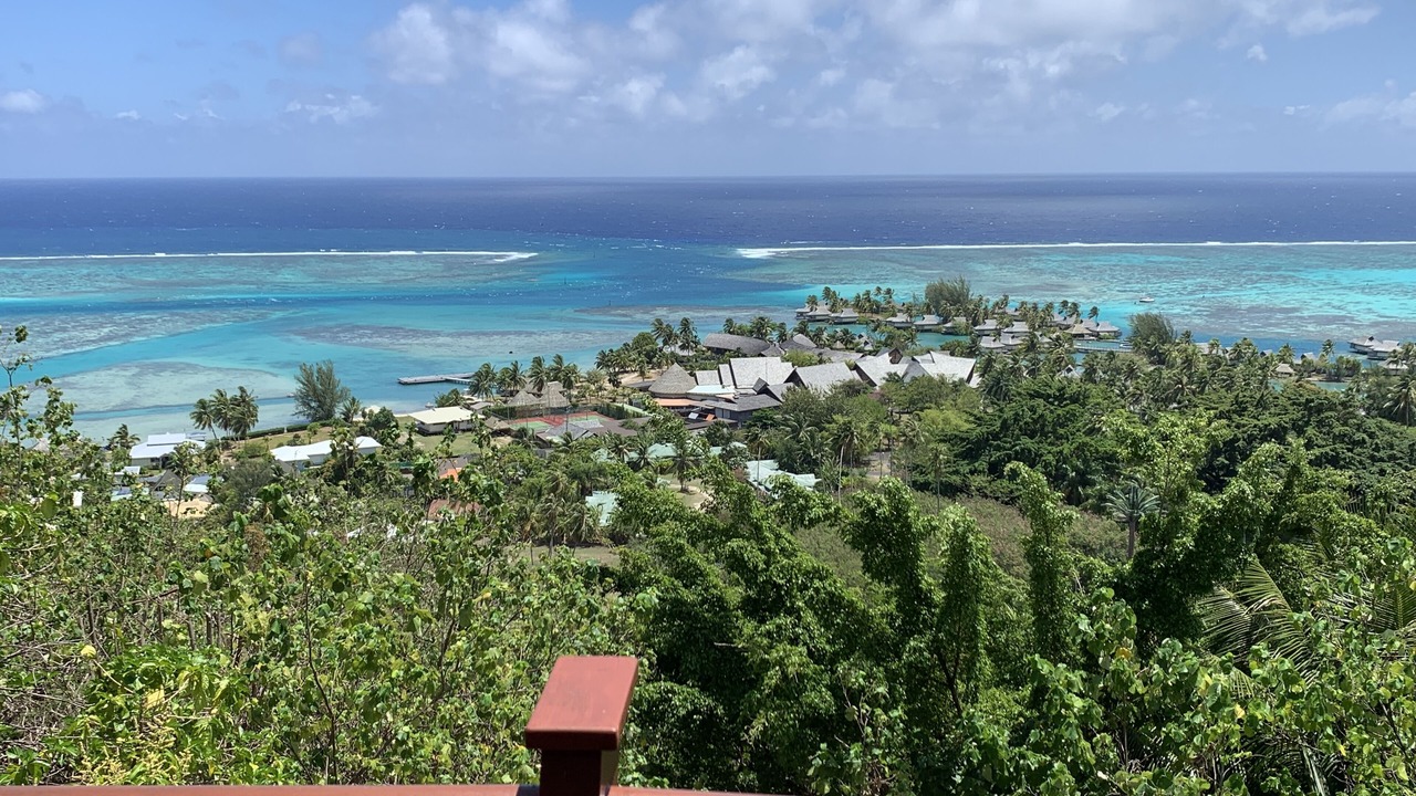 Photo of Others in Moorea-Maiao