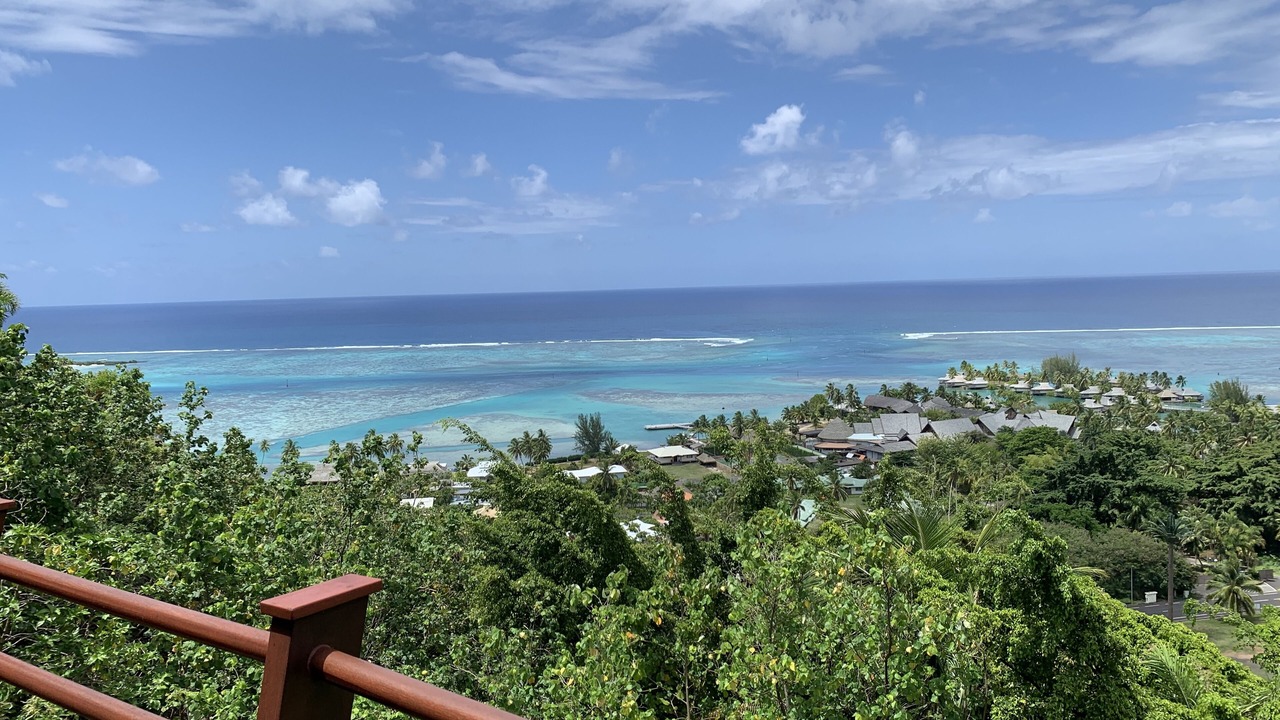 Photo of Others in Moorea-Maiao