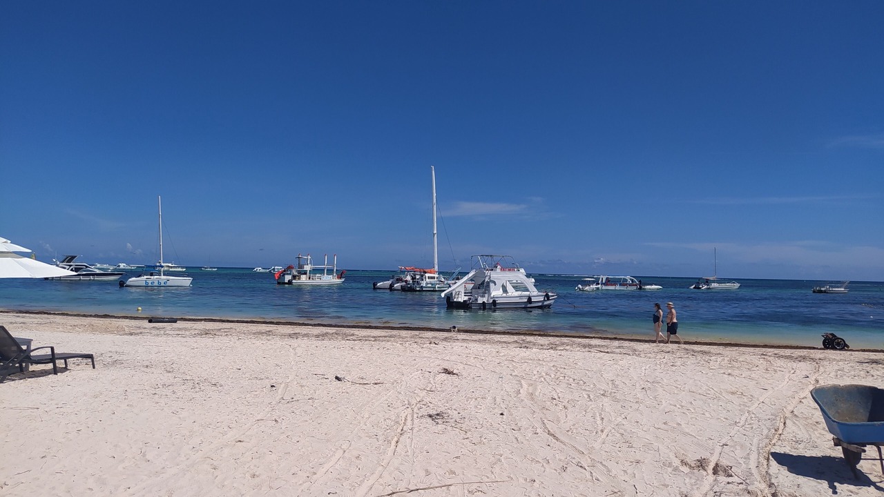 Photo of Others in Playa Bibijagua