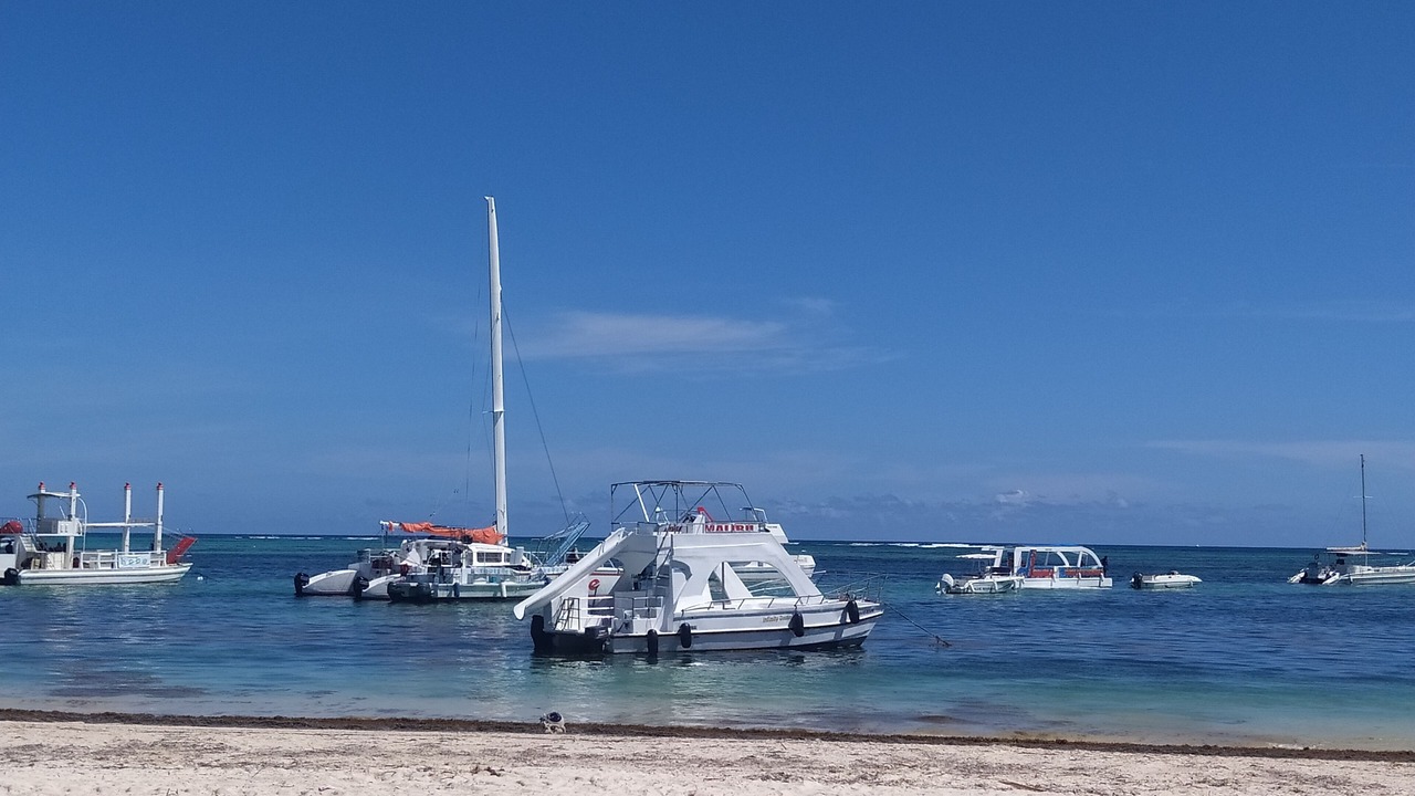 Photo of Others in Playa Bibijagua