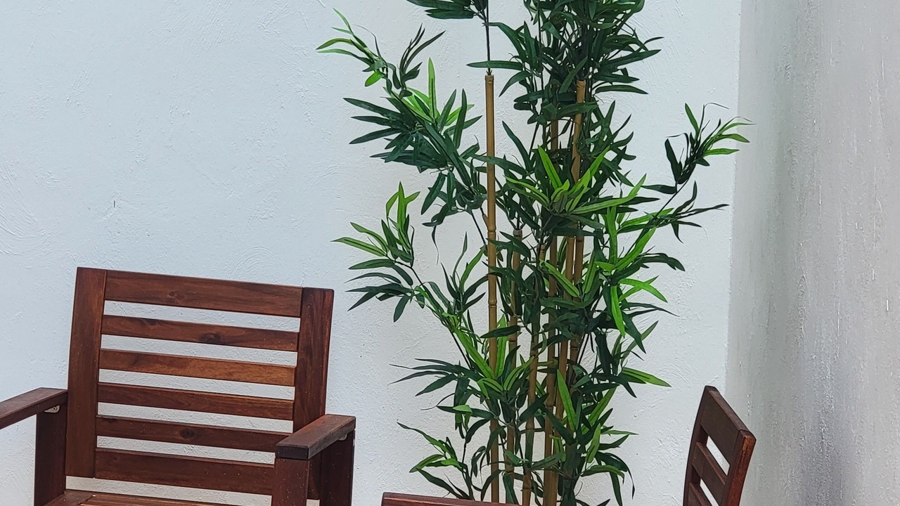 Photo of Outdoor in Los Melones