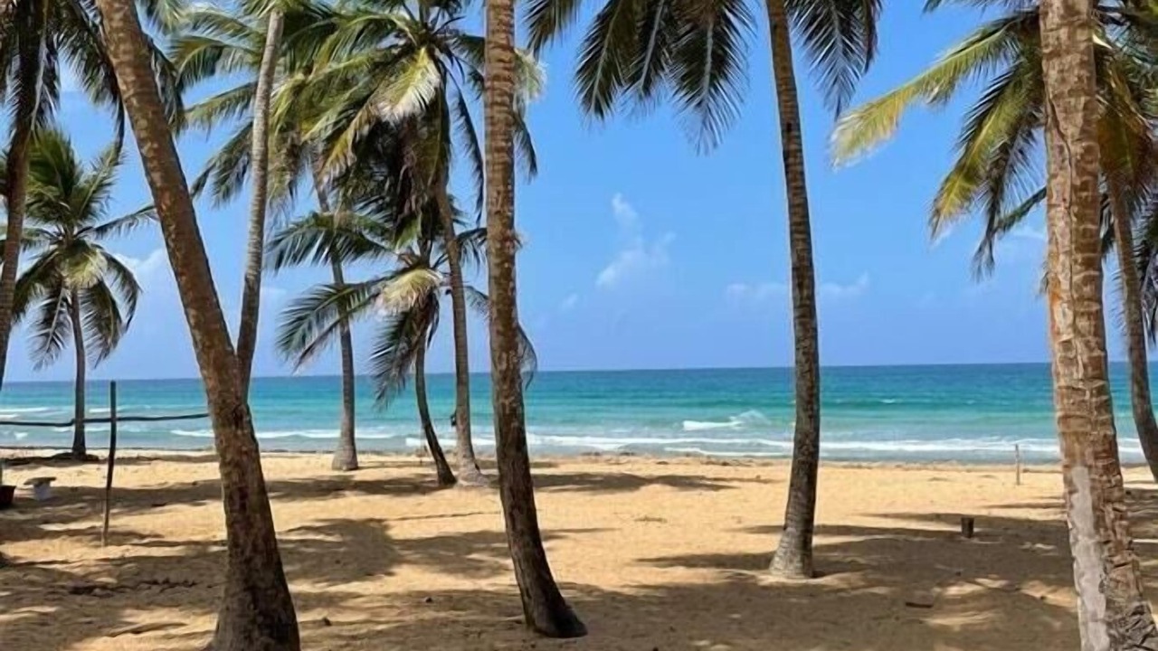 Photo of Others in Punta Cana