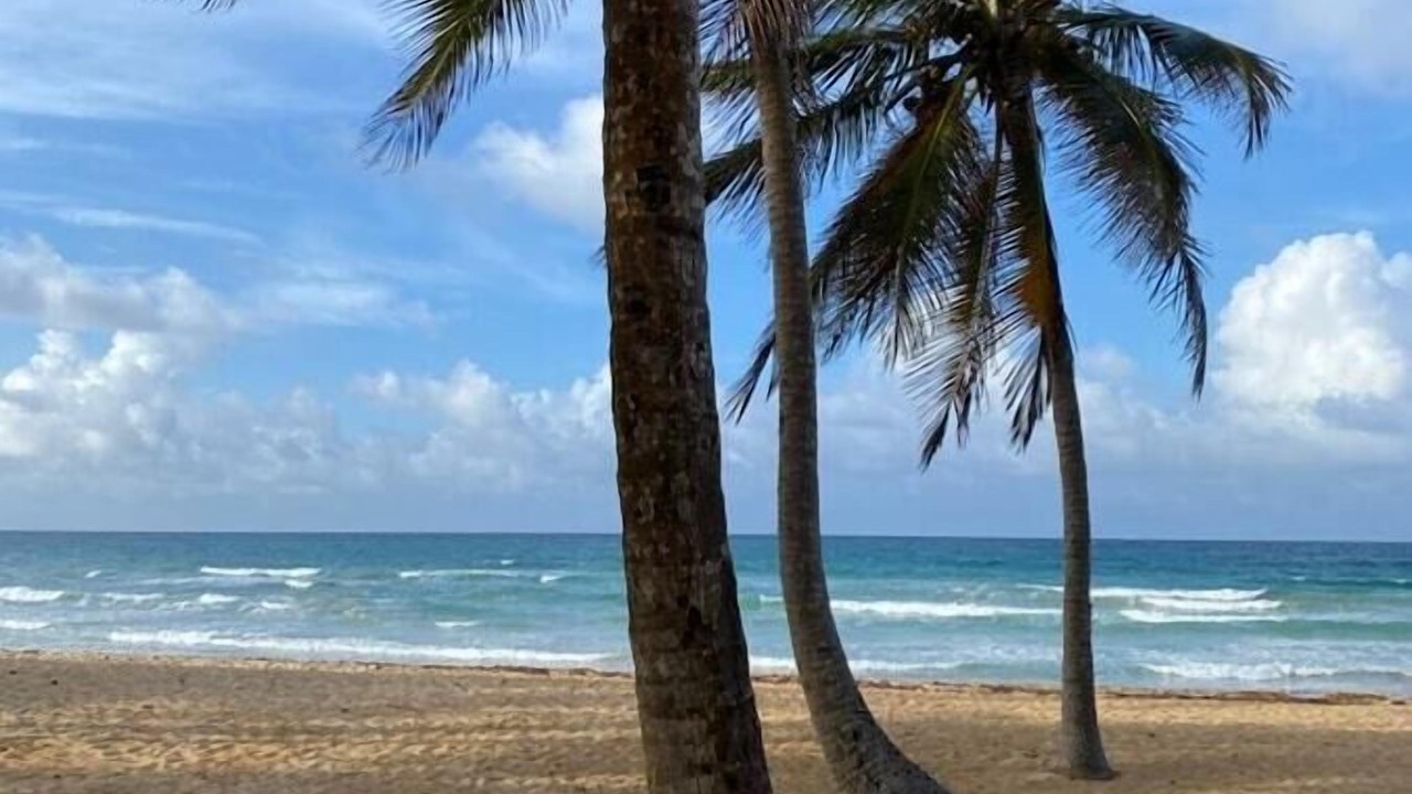 Photo of Others in Punta Cana