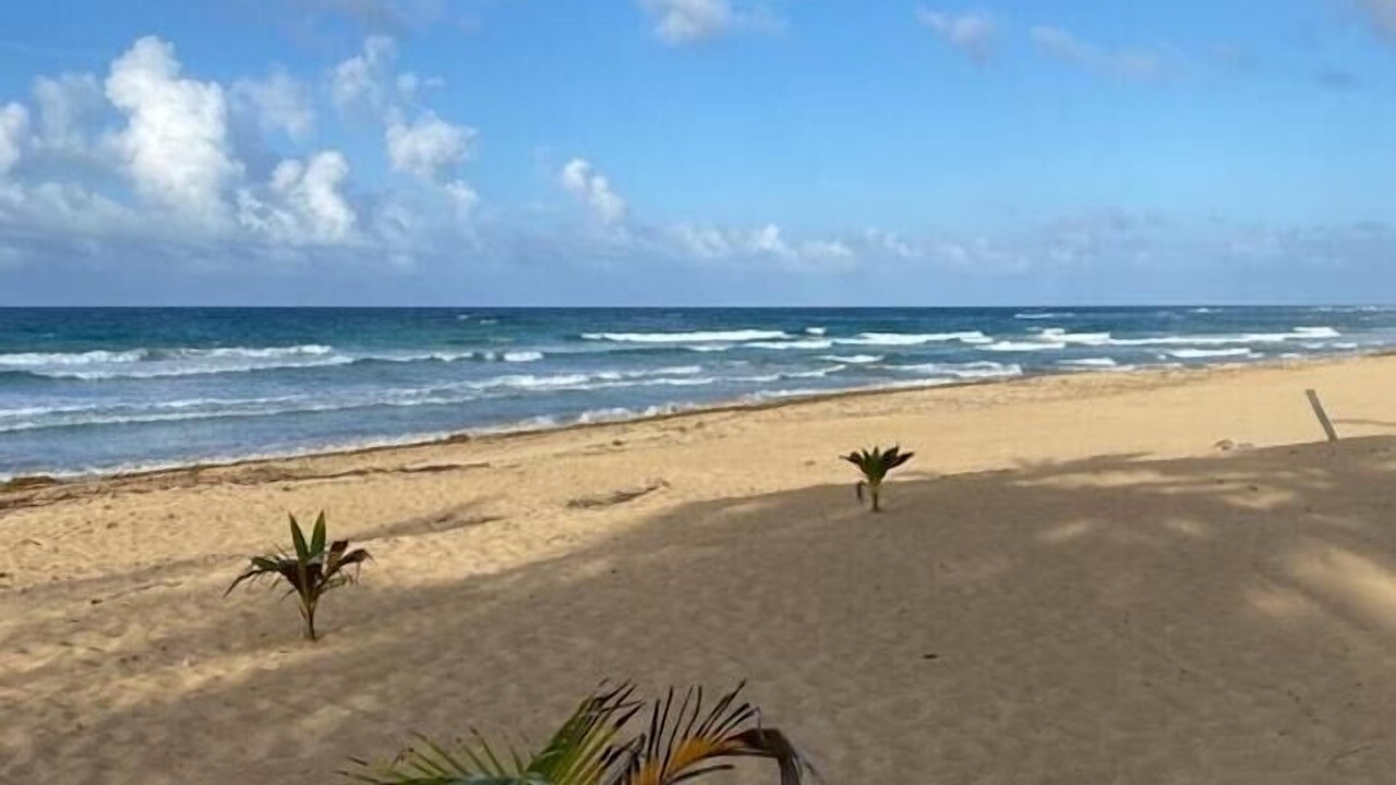 Photo of Others in Punta Cana