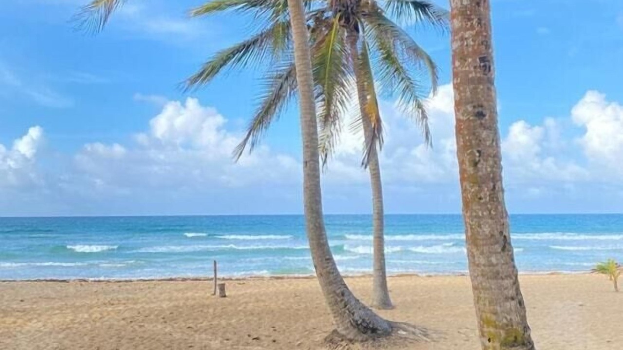 Photo of Others in Punta Cana