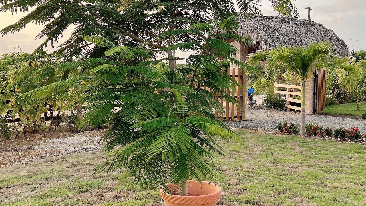 Photo of Outdoor in Higuey