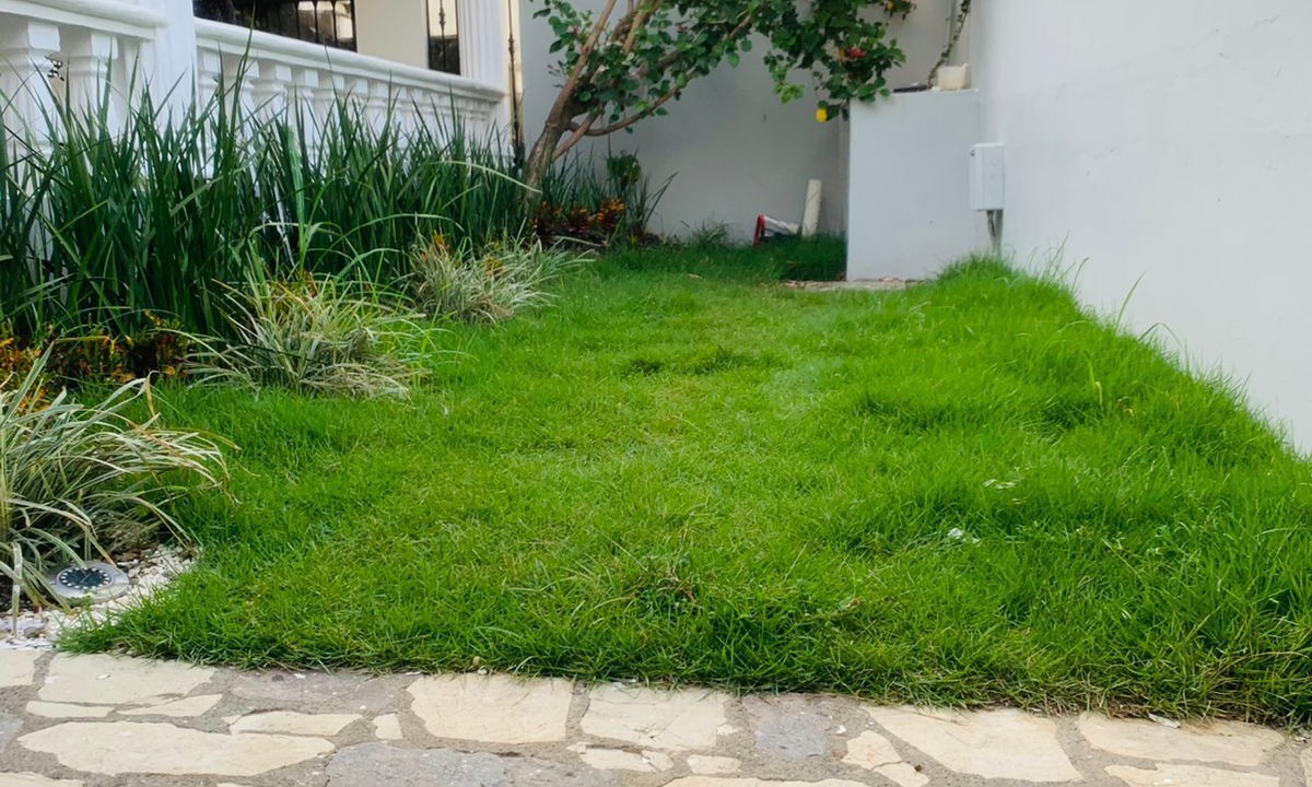 Photo of Outdoor in Santo Domingo Este