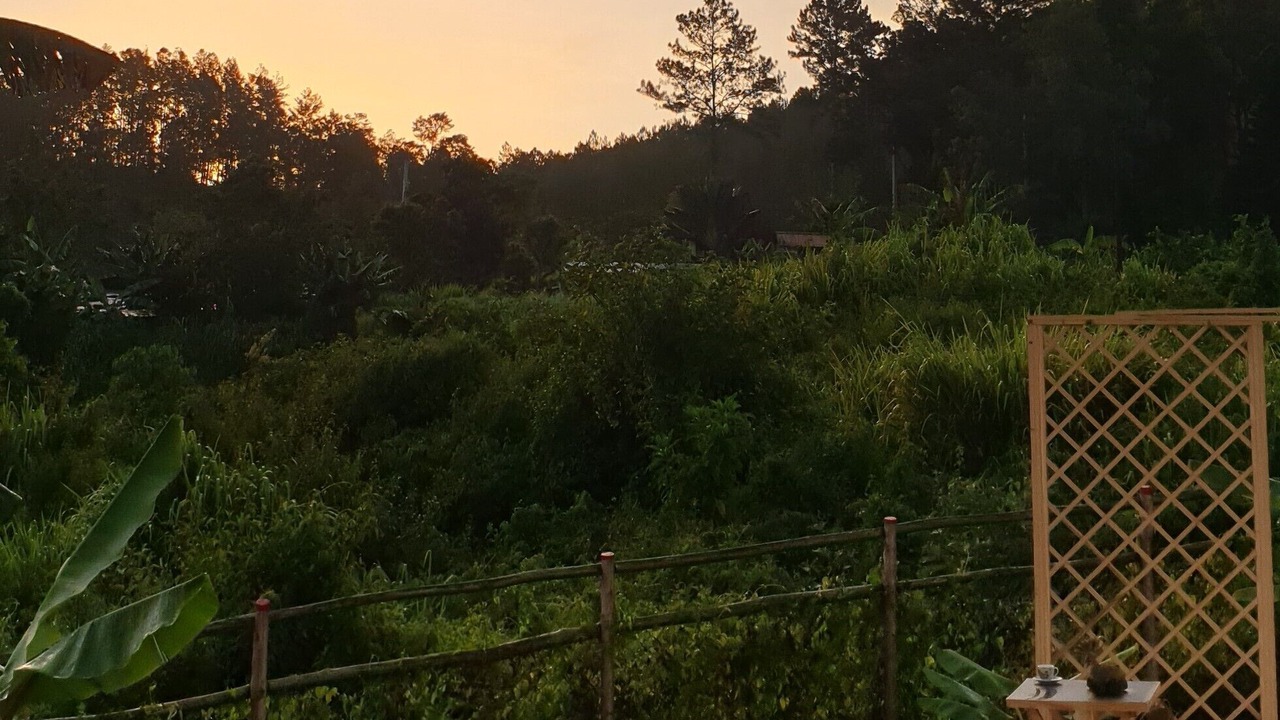 Photo of Outdoor in Manabao