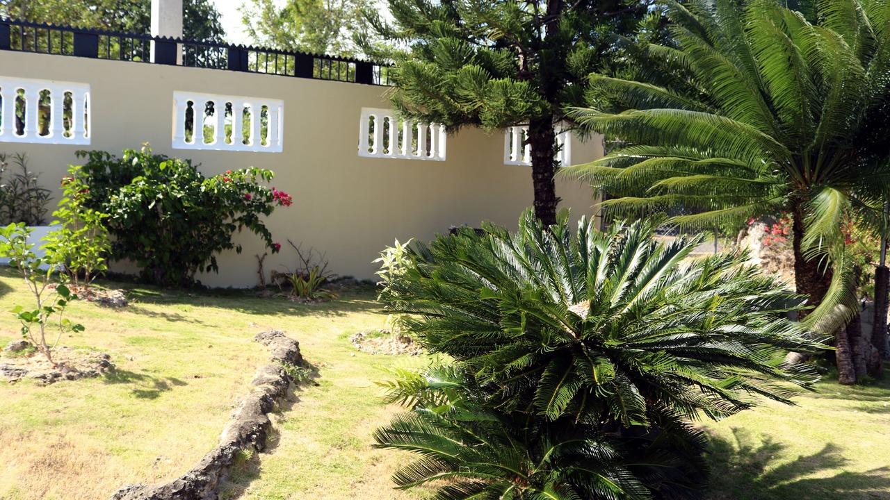 Photo of Outdoor in Nagua