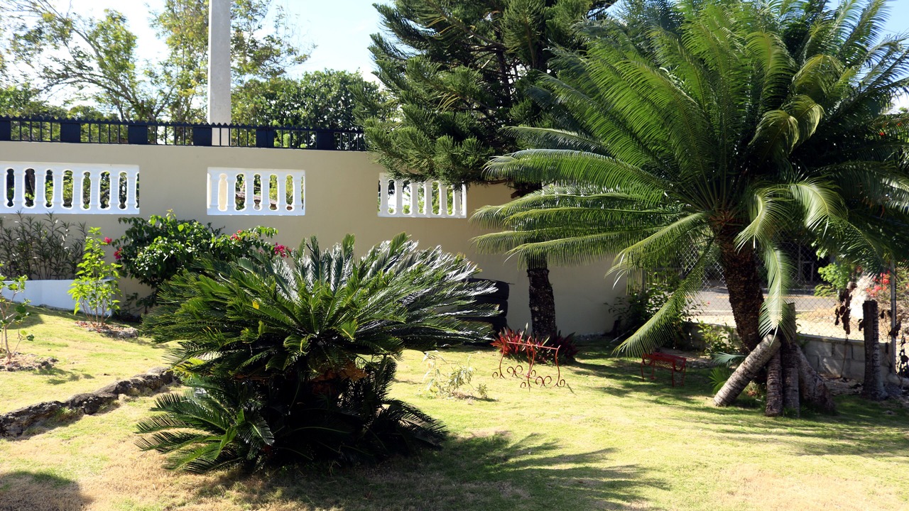 Photo of Outdoor in Nagua