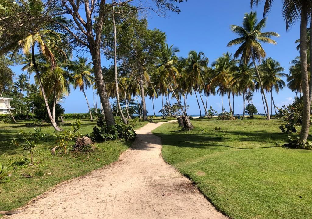 Photo of Others in Las Terrenas