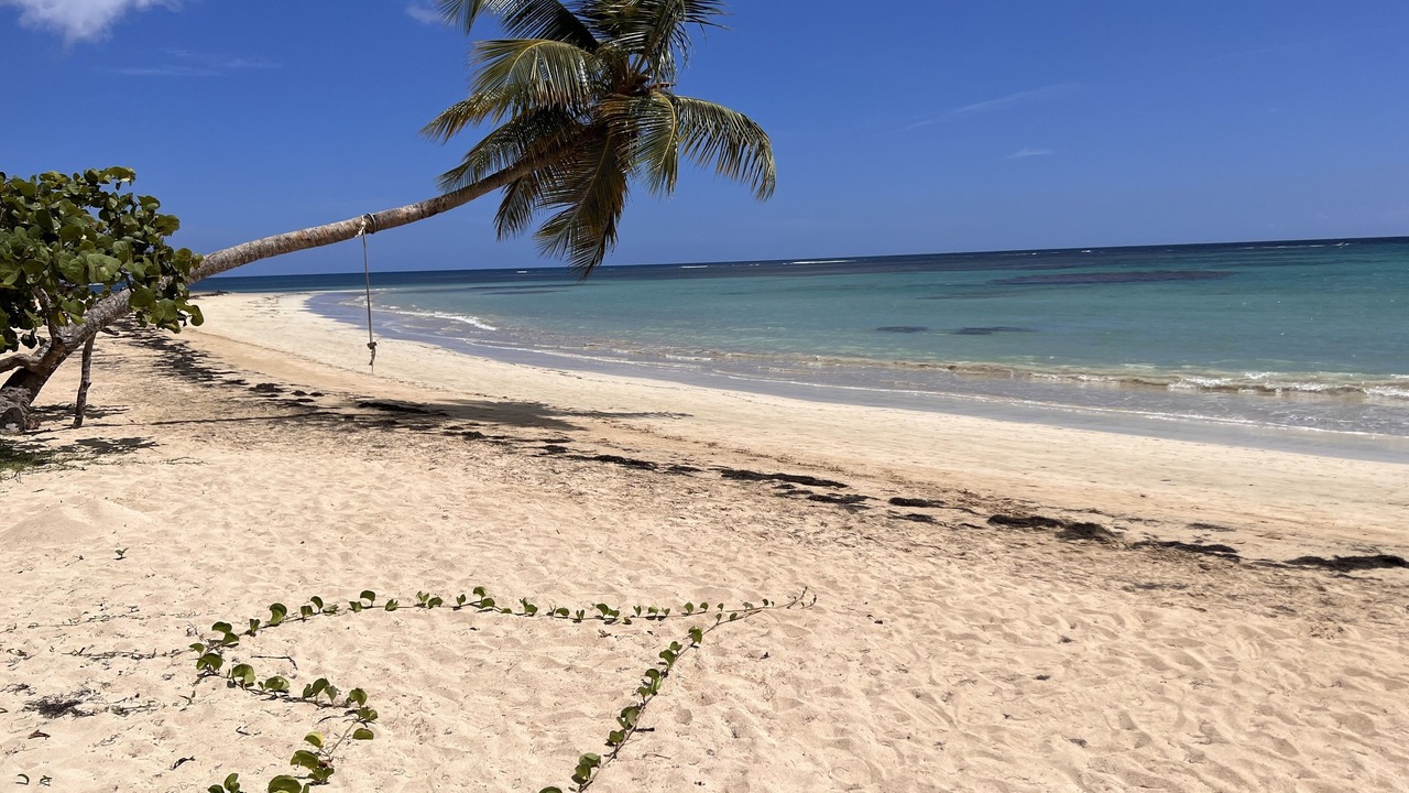 Photo of Others in Las Terrenas