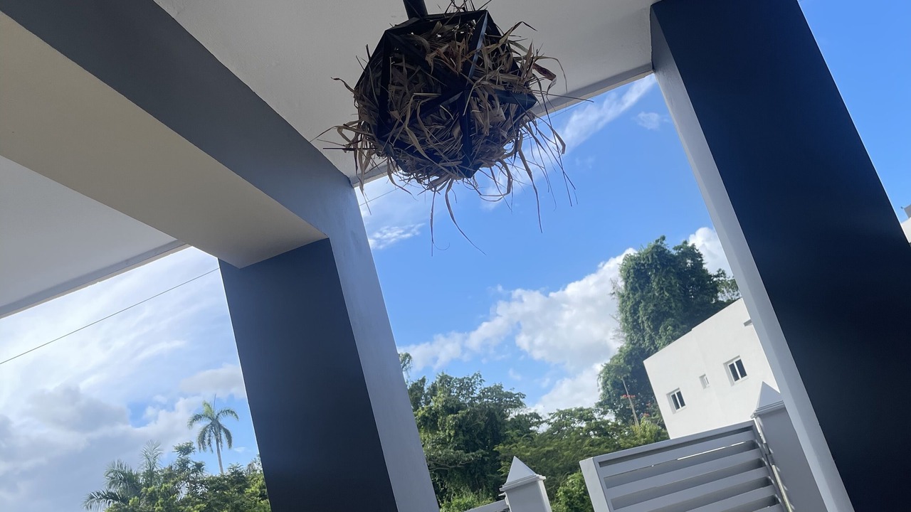 Photo of Outdoor in San Francisco de Macoris