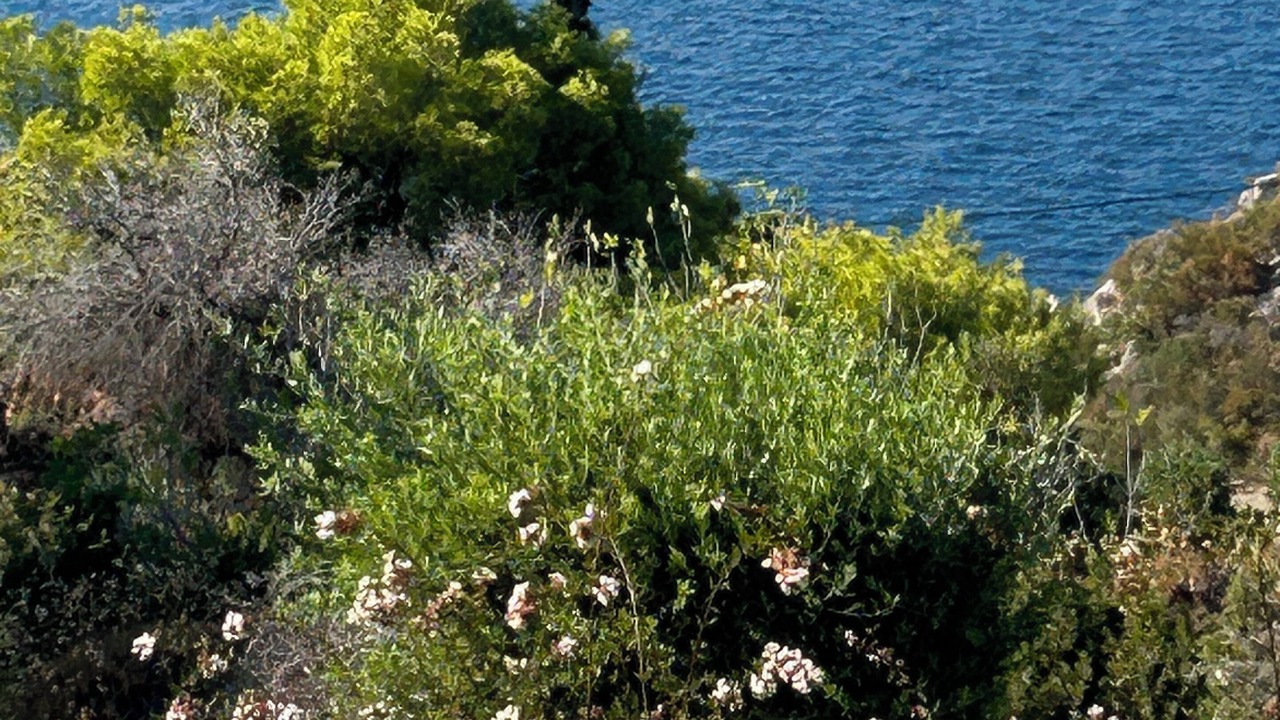 Photo of Outdoor in Theologos