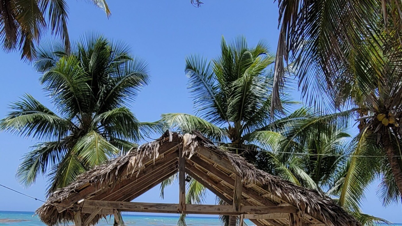 Photo of Others in La Cienaga