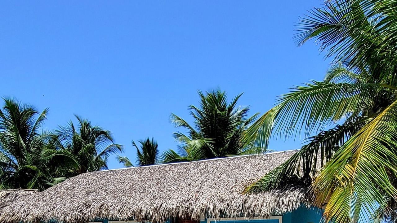 Photo of Outdoor in La Cienaga