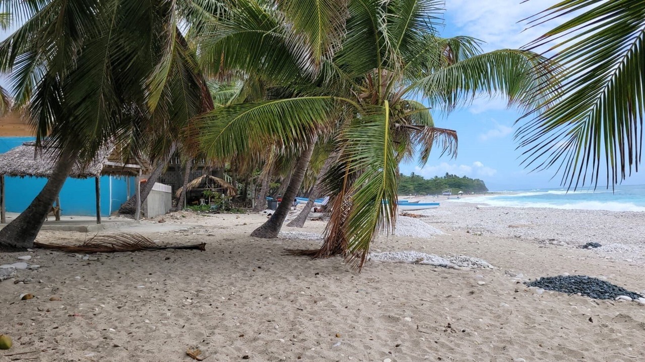 Photo of Others in La Cienaga