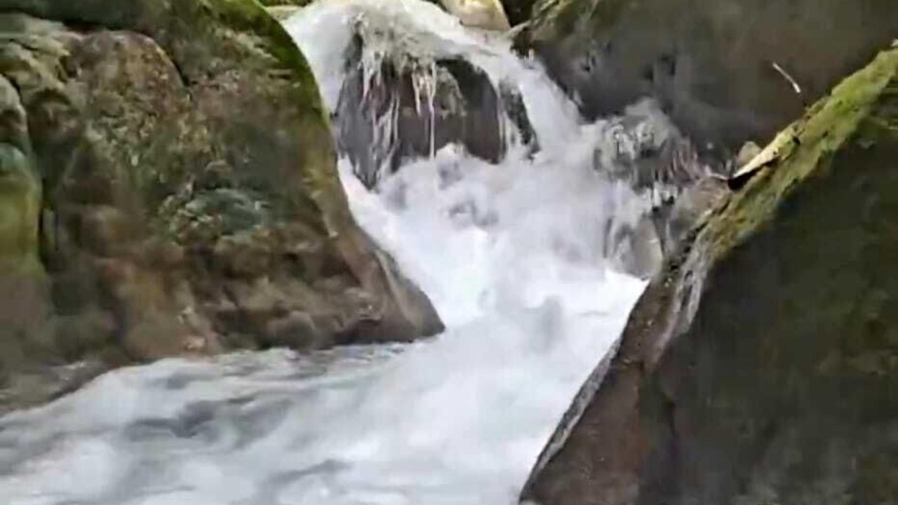 Photo of Outdoor in La Cienaga
