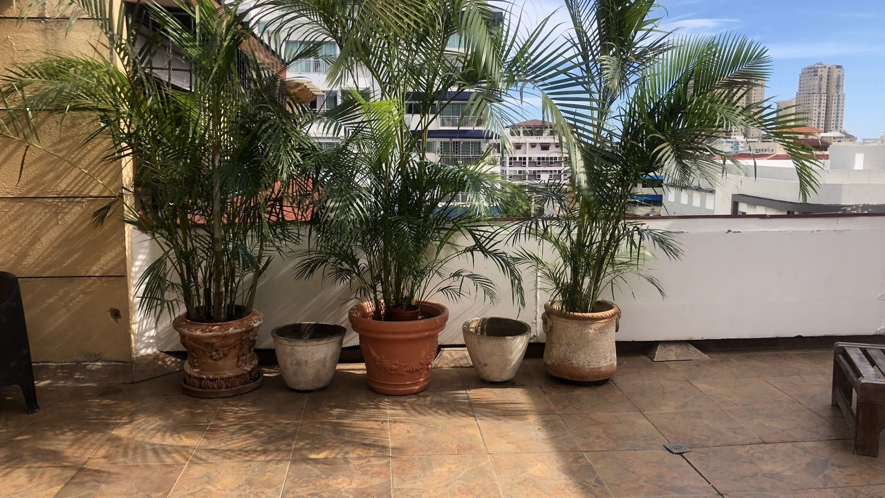 Photo of Patio Balcony in Ciudad Universitaria