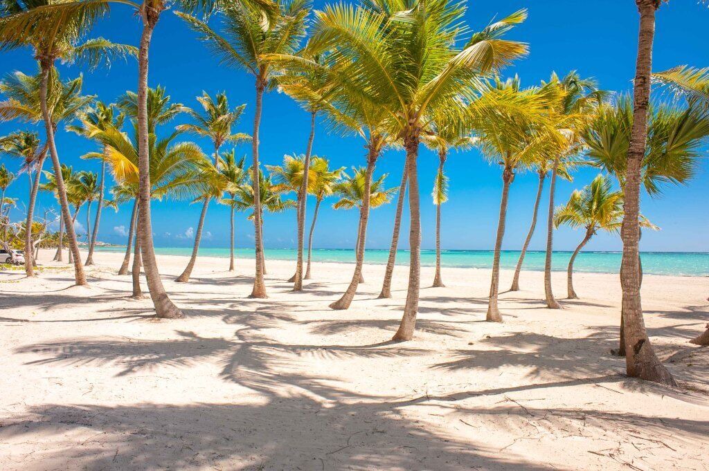 Photo of Others in Punta Cana