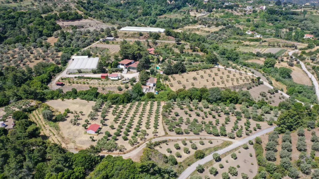 Photo of Outdoor in Kamiros