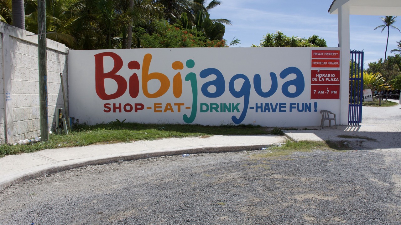 Photo of Others in Playa Bibijagua