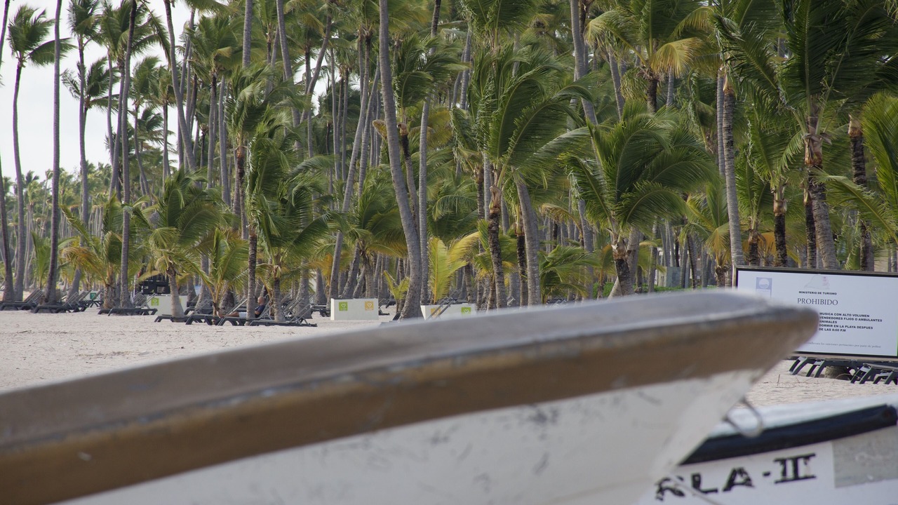 Photo of Others in Playa Bibijagua