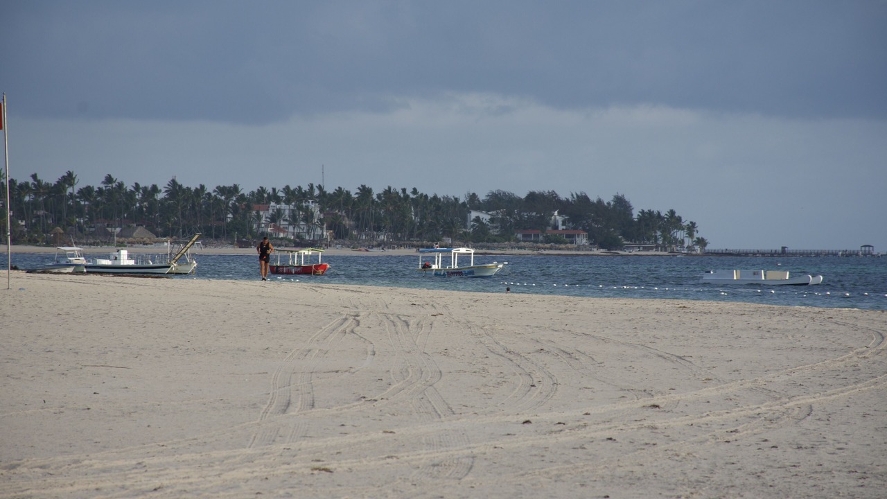 Photo of Others in Playa Bibijagua