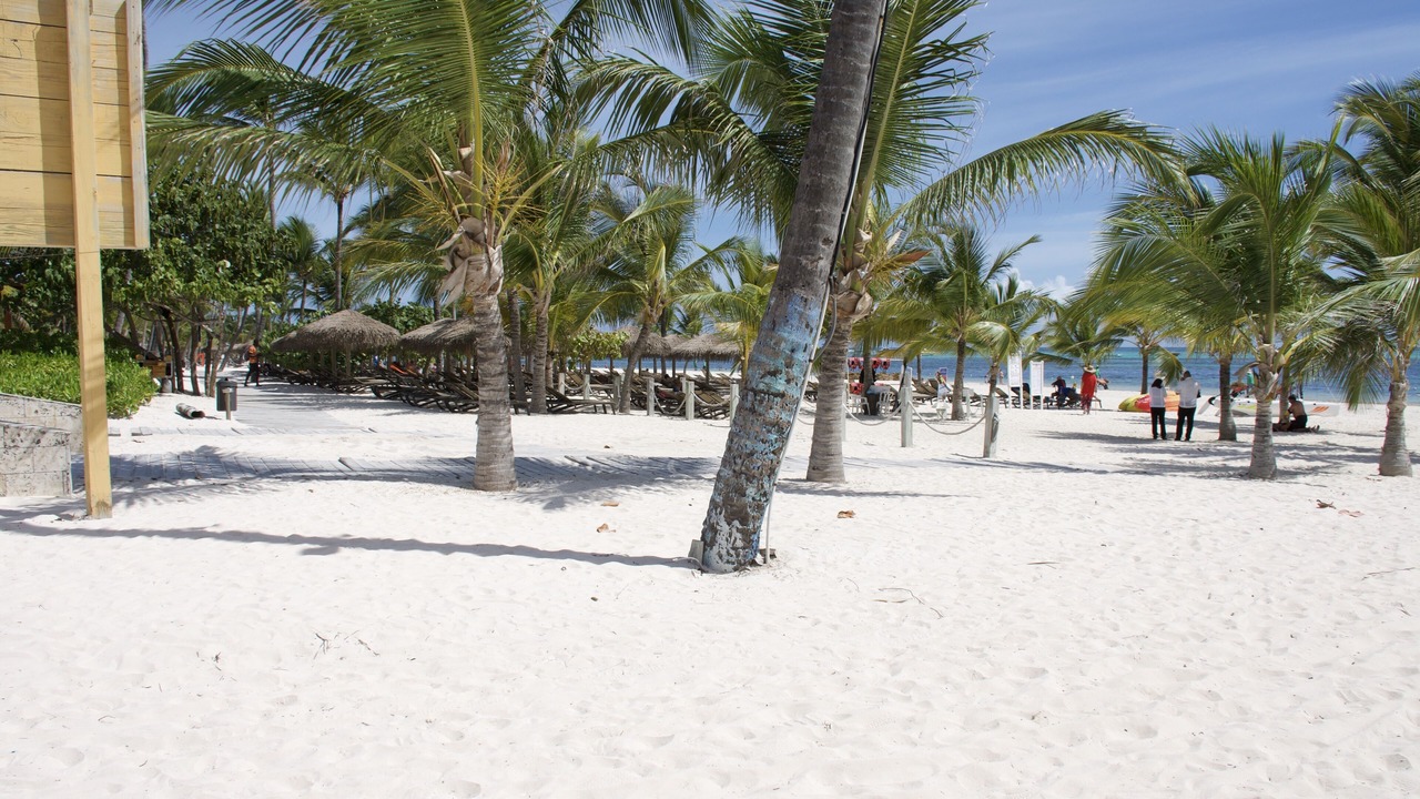 Photo of Others in Playa Bibijagua