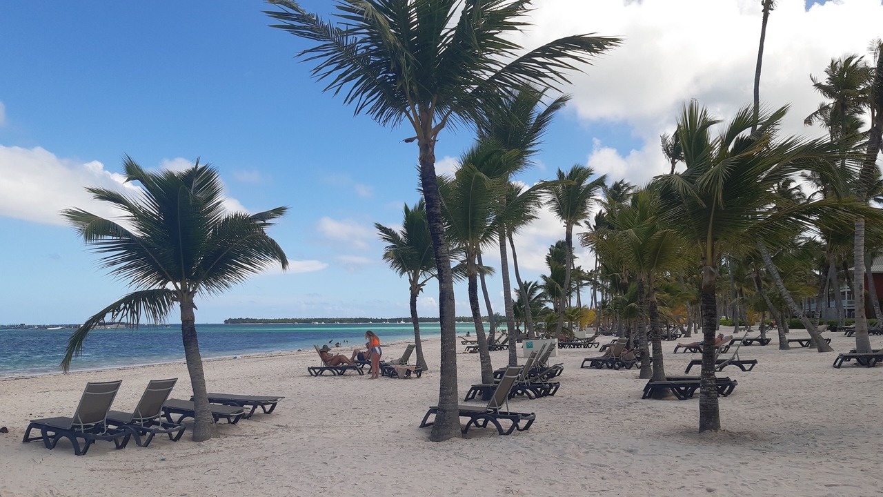 Photo of Others in Playa Bibijagua