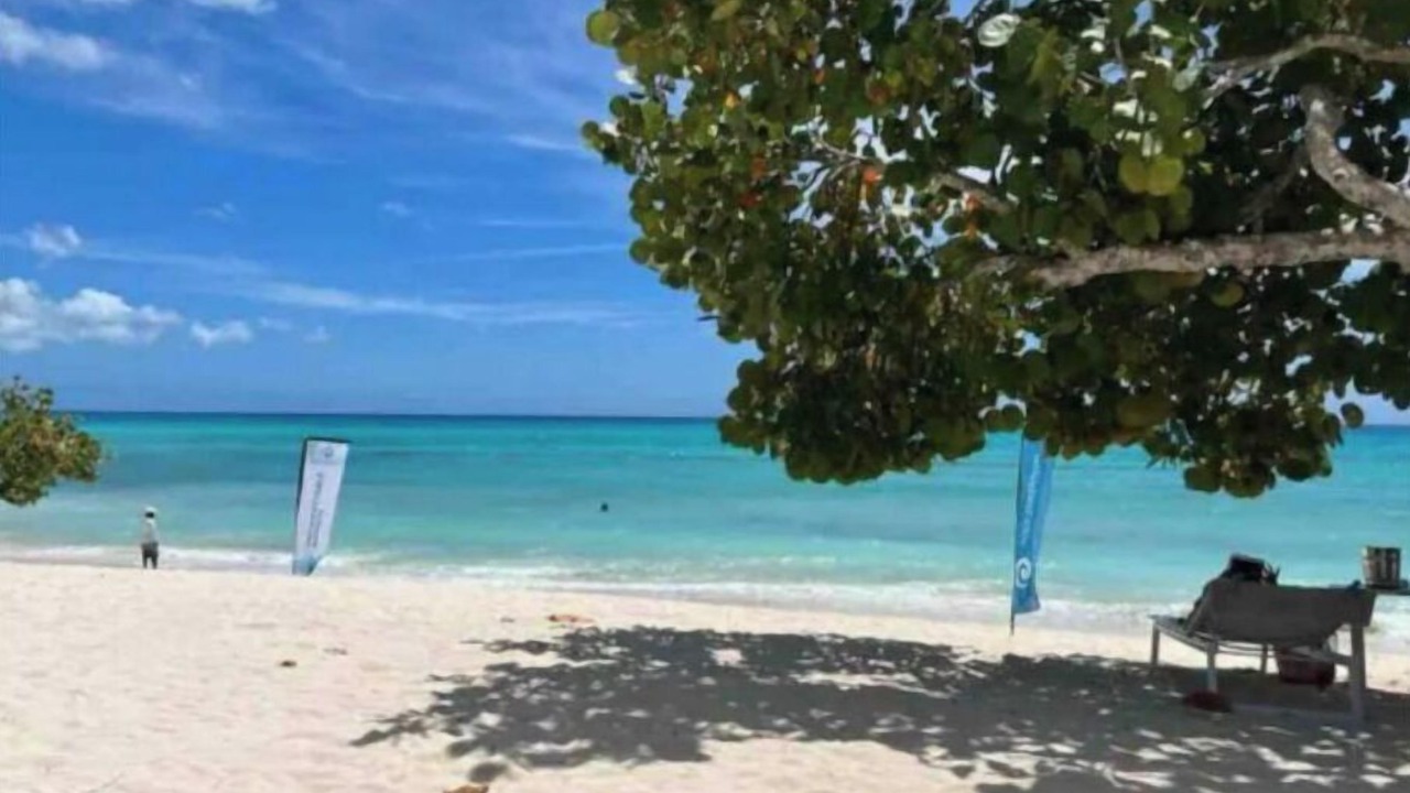 Photo of Others in Dominicus