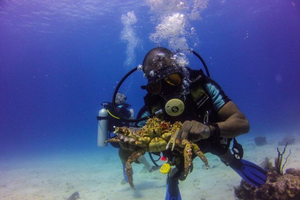 Photo of Others in Dominicus