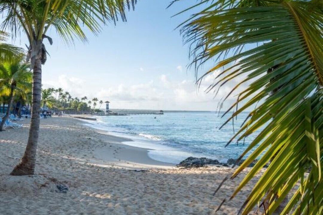 Photo of Others in Dominicus